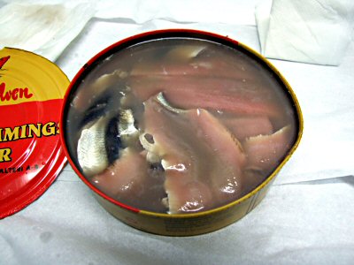 Surströmming - Gourmet Forum