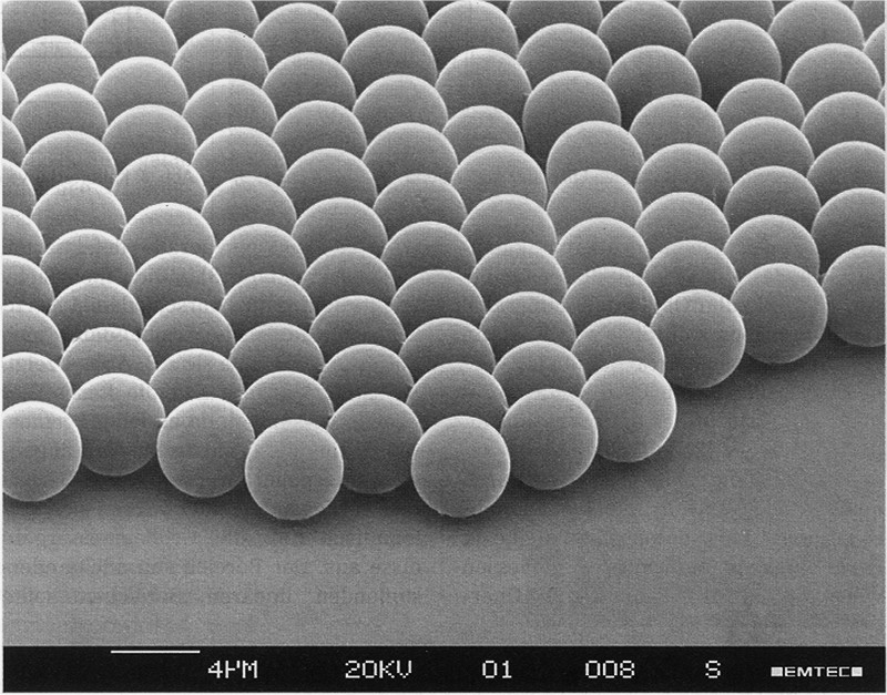 Rasterelektronenmikroskop