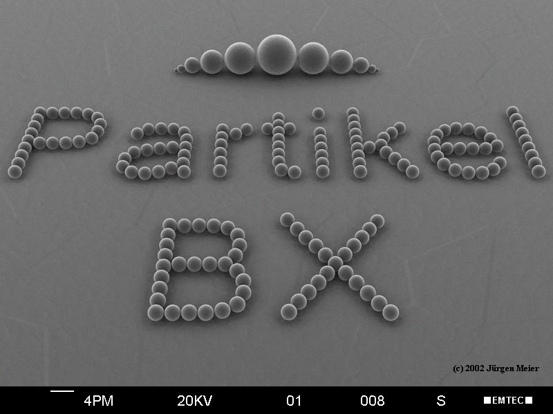 Rasterelektronenmikroskop